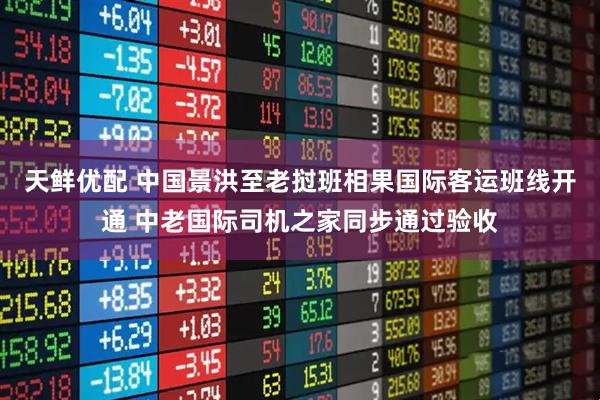 天鲜优配 中国景洪至老挝班相果国际客运班线开通 中老国际司机之家同步通过验收