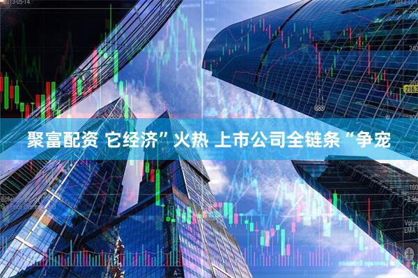 聚富配资 它经济”火热 上市公司全链条“争宠